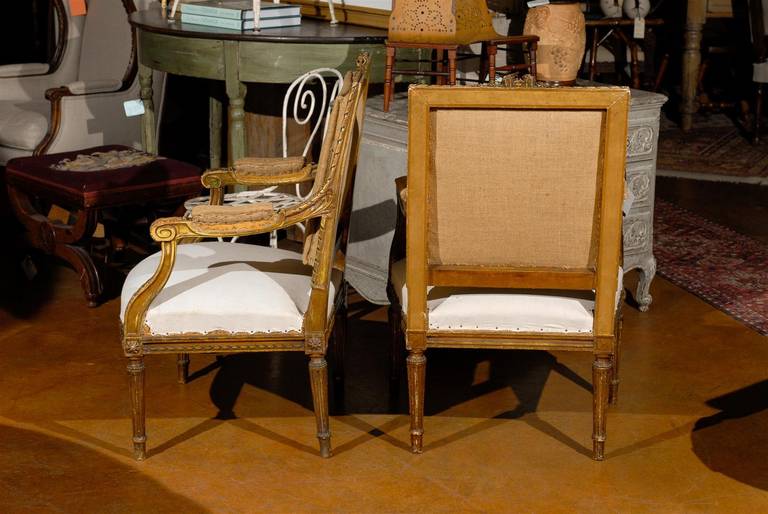 Pair of Gilded Louis XVI Style Side Chairs 1