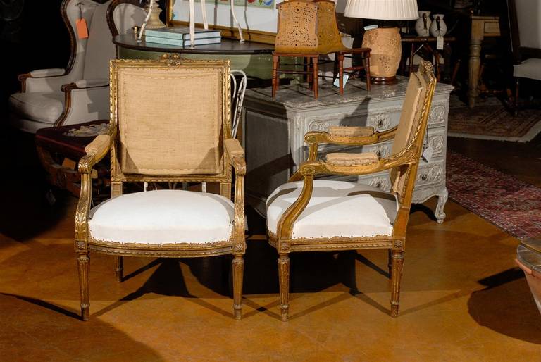 19th Century Pair of Gilded Louis XVI Style Side Chairs