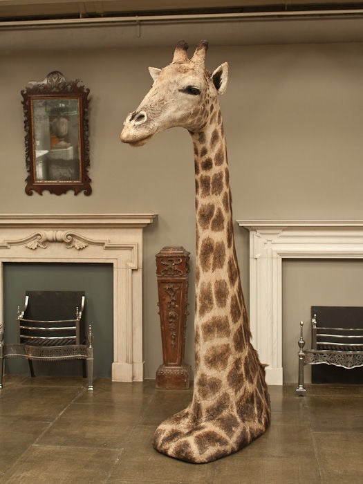 floor standing giraffe