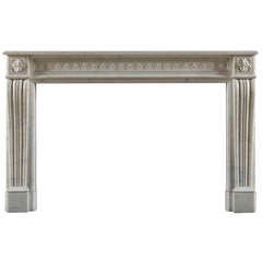 Pair of Antique 19th Century Louis XVI Style Fireplace Mantels 3