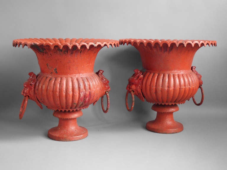 Pair of 19th century cast iron planters. Wonderful color and wear.