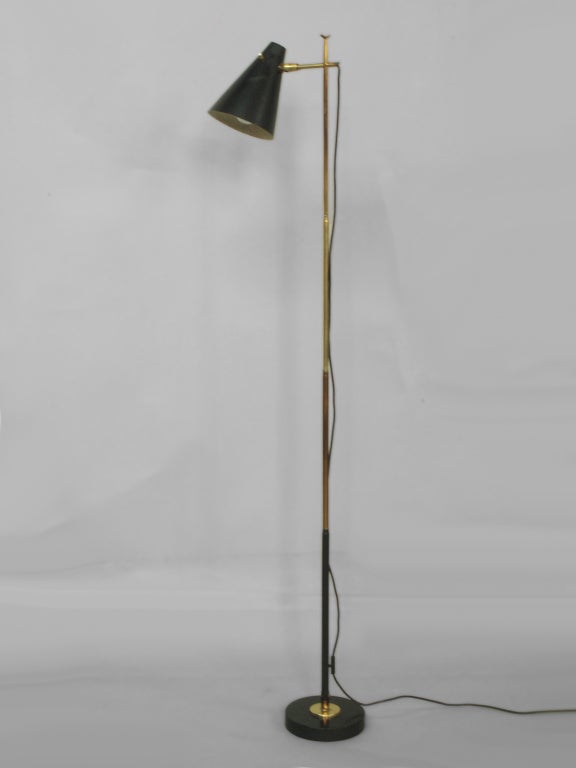 Swivel Base Telescoping Floor / Desk Lamp