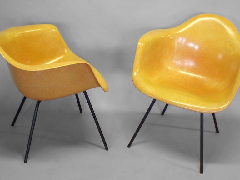 American Eames Fiberglass Shell Chairs by Charles and Ray Eames