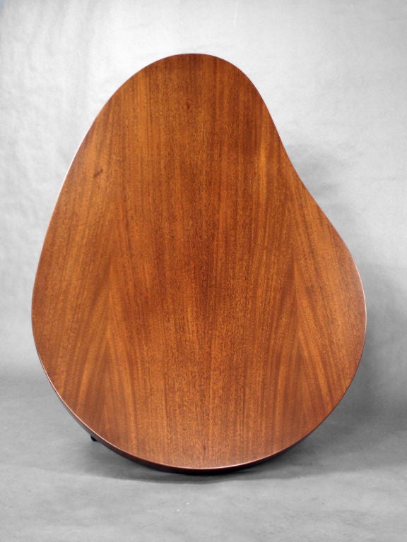 Large Organic Form Cocktail Table 2