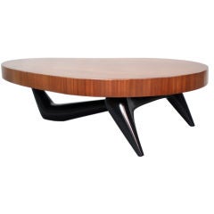 Large Organic Form Cocktail Table