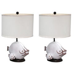 Single Raymor Fish Lamp