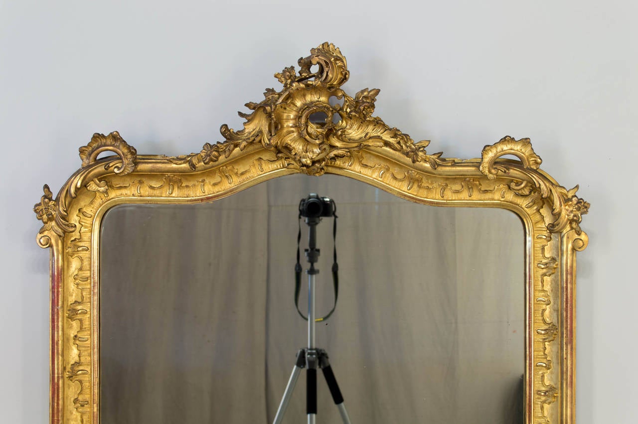 An exceptional 19th Century French Louis XV style mirror with original gilding. Shell motif at top has great three dimensional detail with a deep relief of five inches. Beautiful scrolling acanthus leaves at bottom corners. Very rare to find a