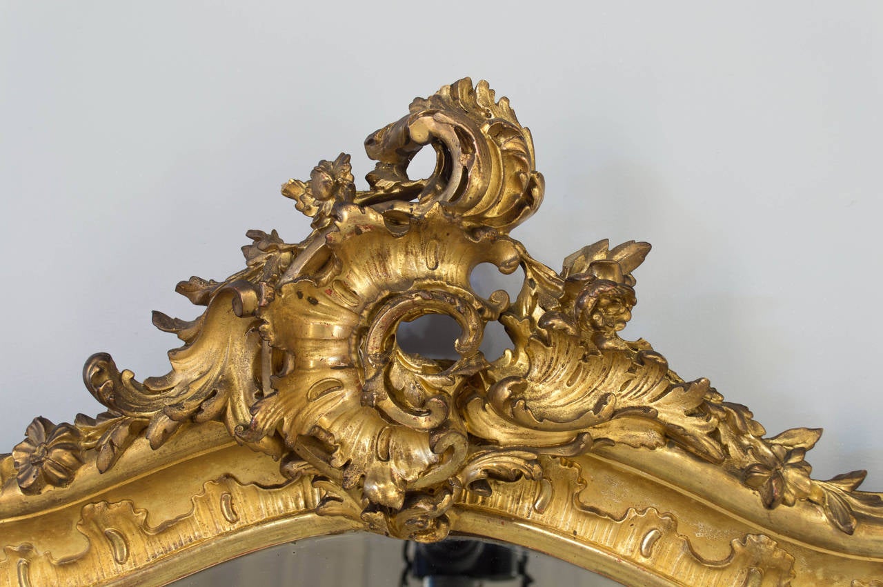 19th c. French Louis XV Style Gilded Mirror In Excellent Condition In Winter Park, FL