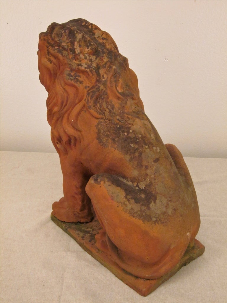 French Terracotta Lion Sculpture 4