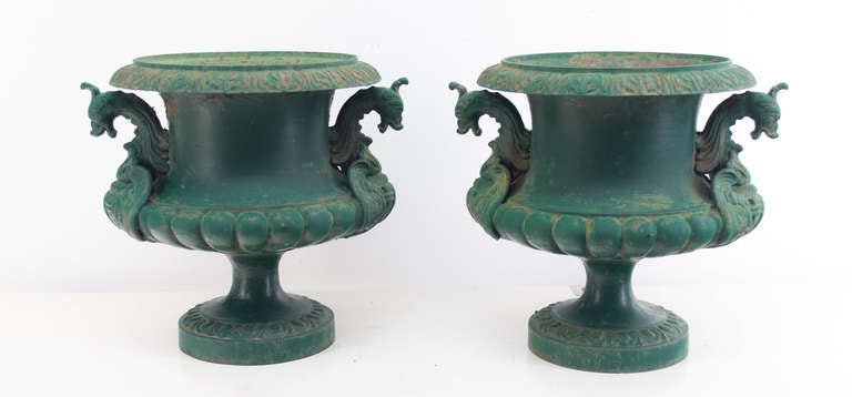 19th Century French Pair of Cast Iron Urns or Planters 5