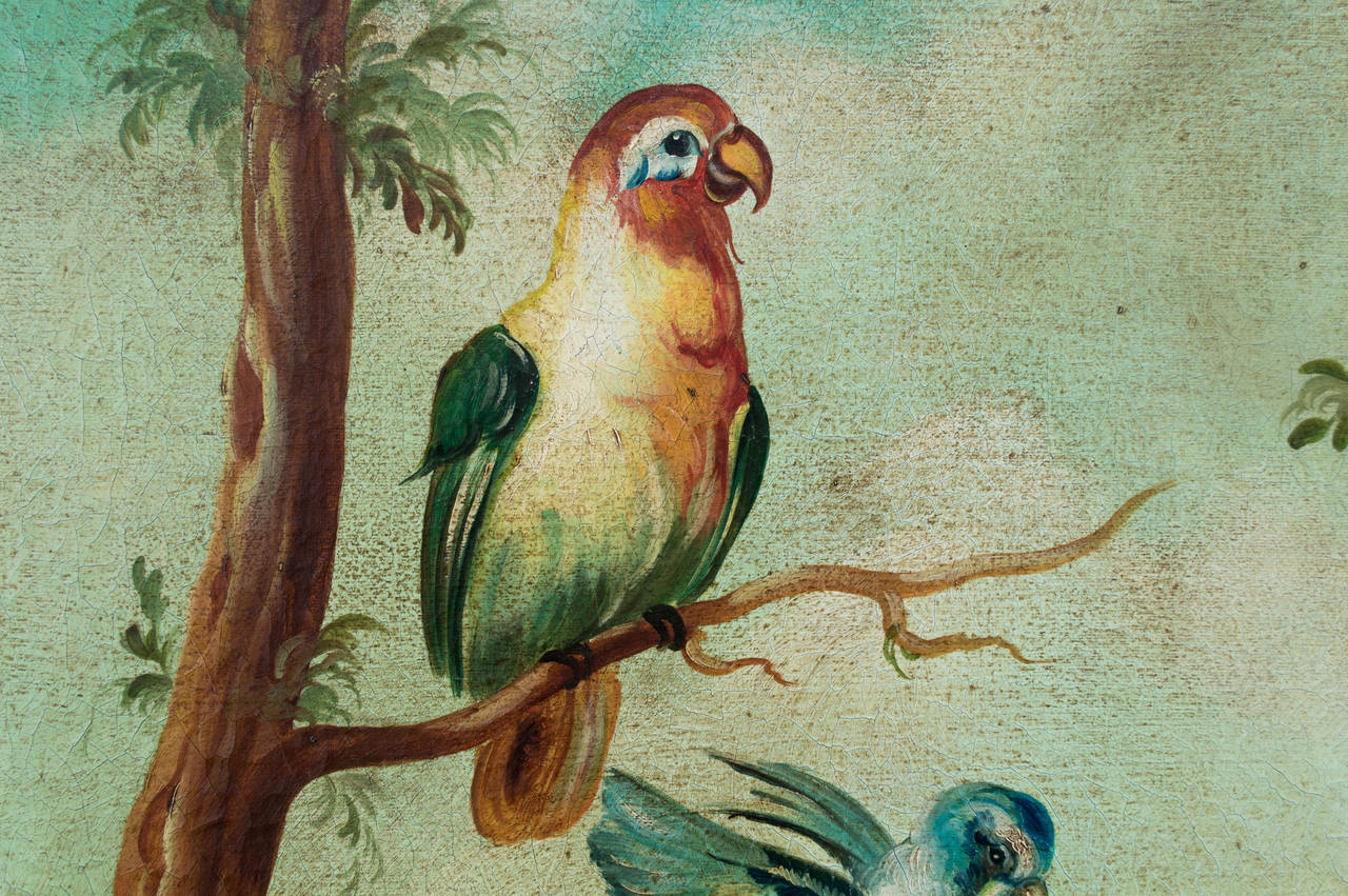 Pintura Pájaro tropical de Ira Monte Español