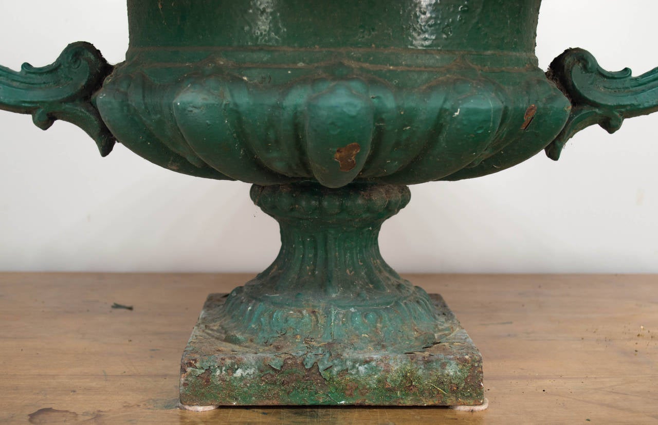 Pair of 19th Century French Cast Iron Urns 4