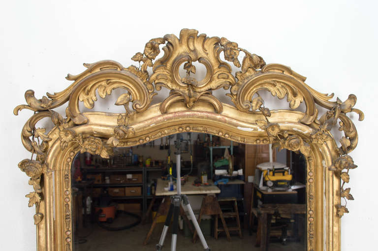 19th c. French Louis XV Style Gilded Mirror