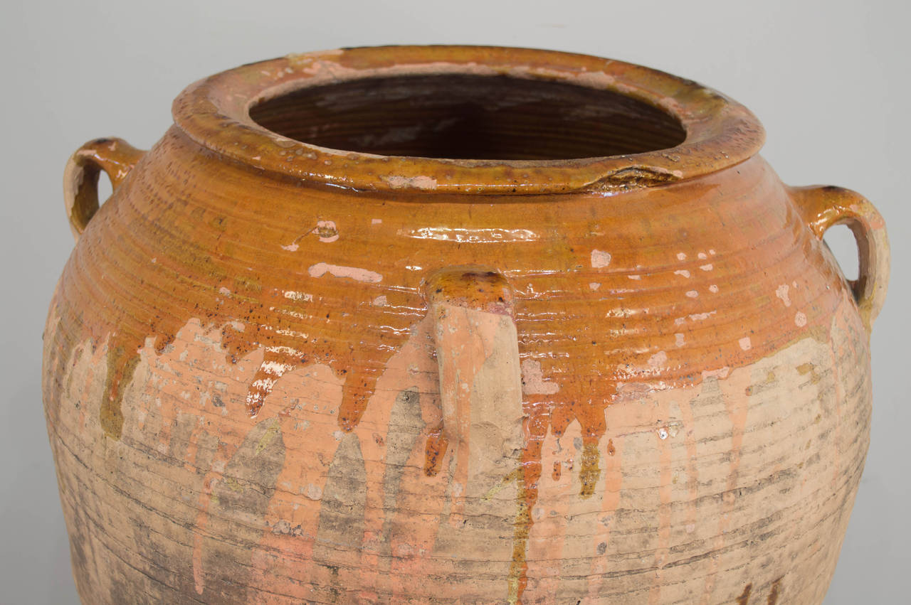 Large 19th Century Italian Terracotta Olive oil Jar 1