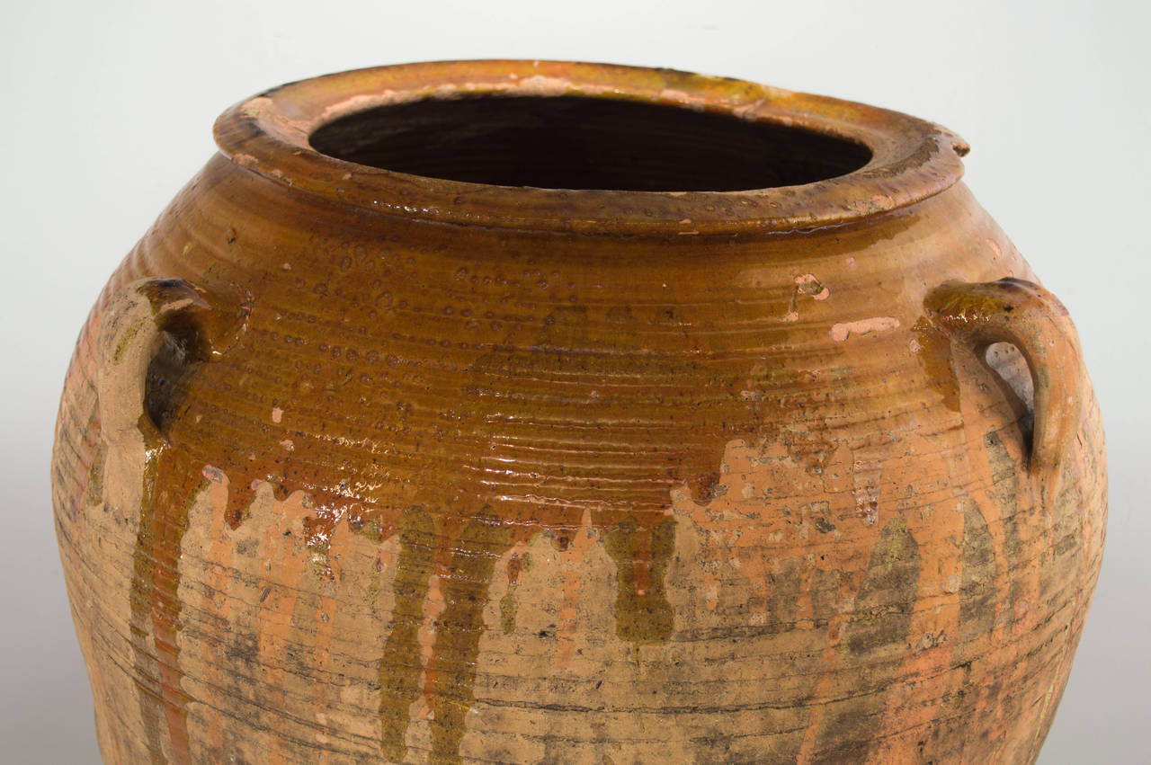 Large 19th Century Italian Terracotta Olive oil Jar 2