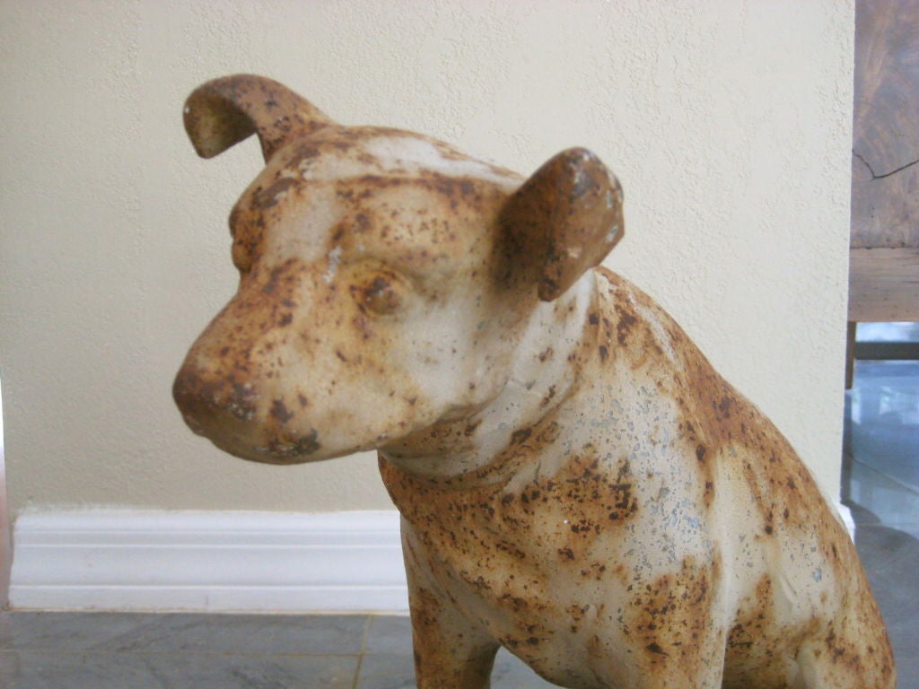 Cast Iron RCA Victor Dog 1