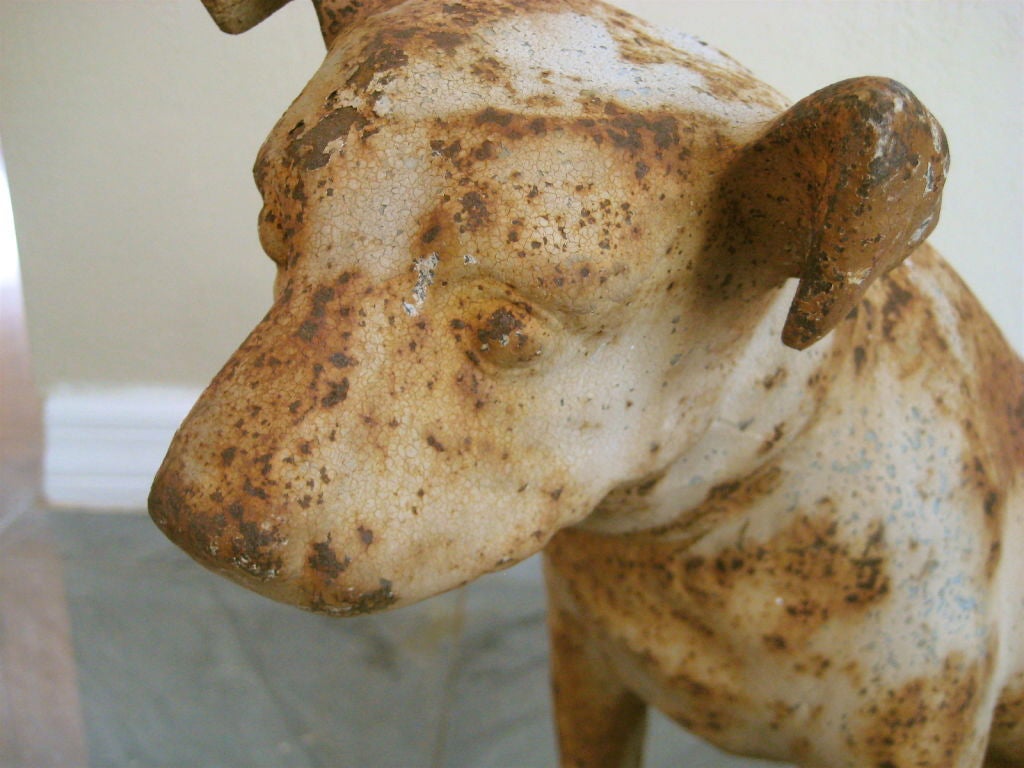 Cast Iron RCA Victor Dog 2