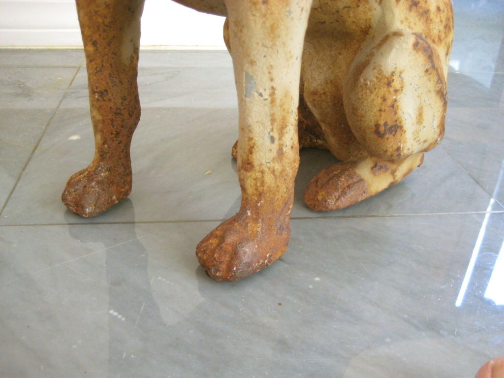 Cast Iron RCA Victor Dog 3