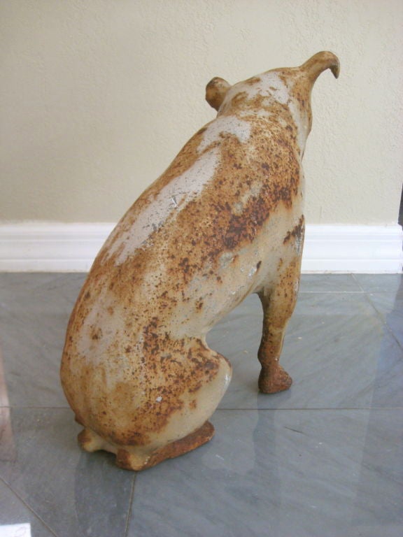 Cast Iron RCA Victor Dog 5