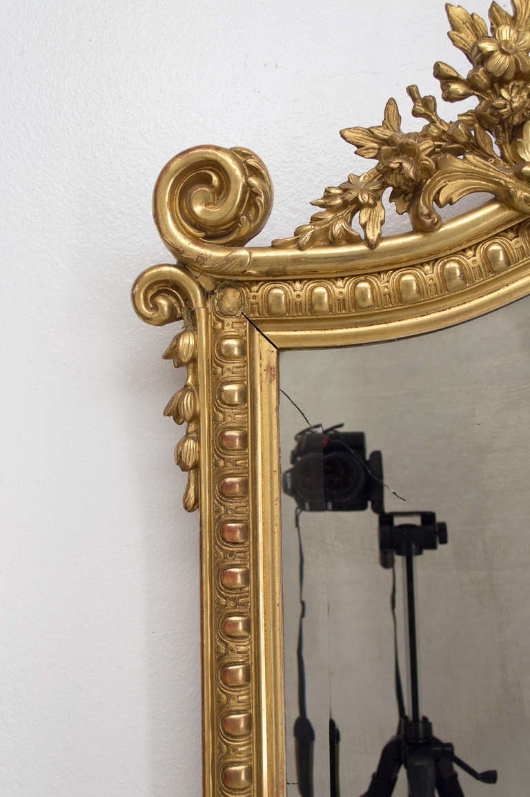 19th C. French  Louis XV Style Gilded MIrror 2