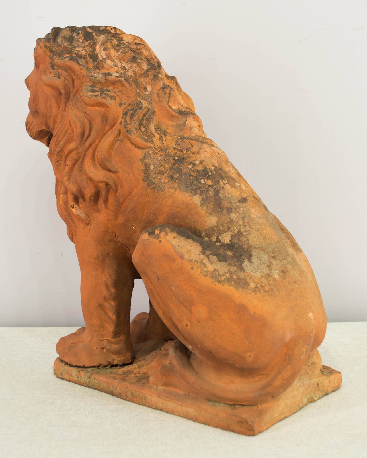 19th Century French Terracotta Lion 3