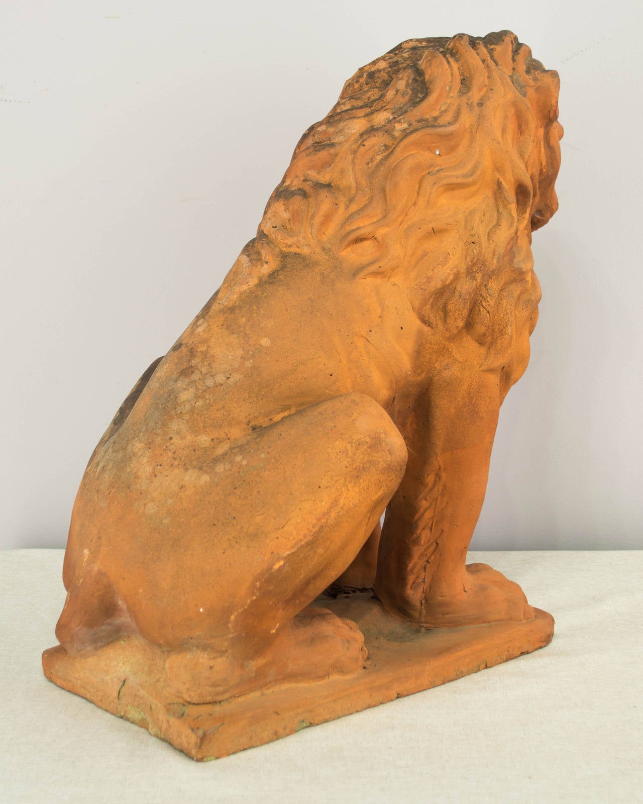 19th Century French Terracotta Lion 4