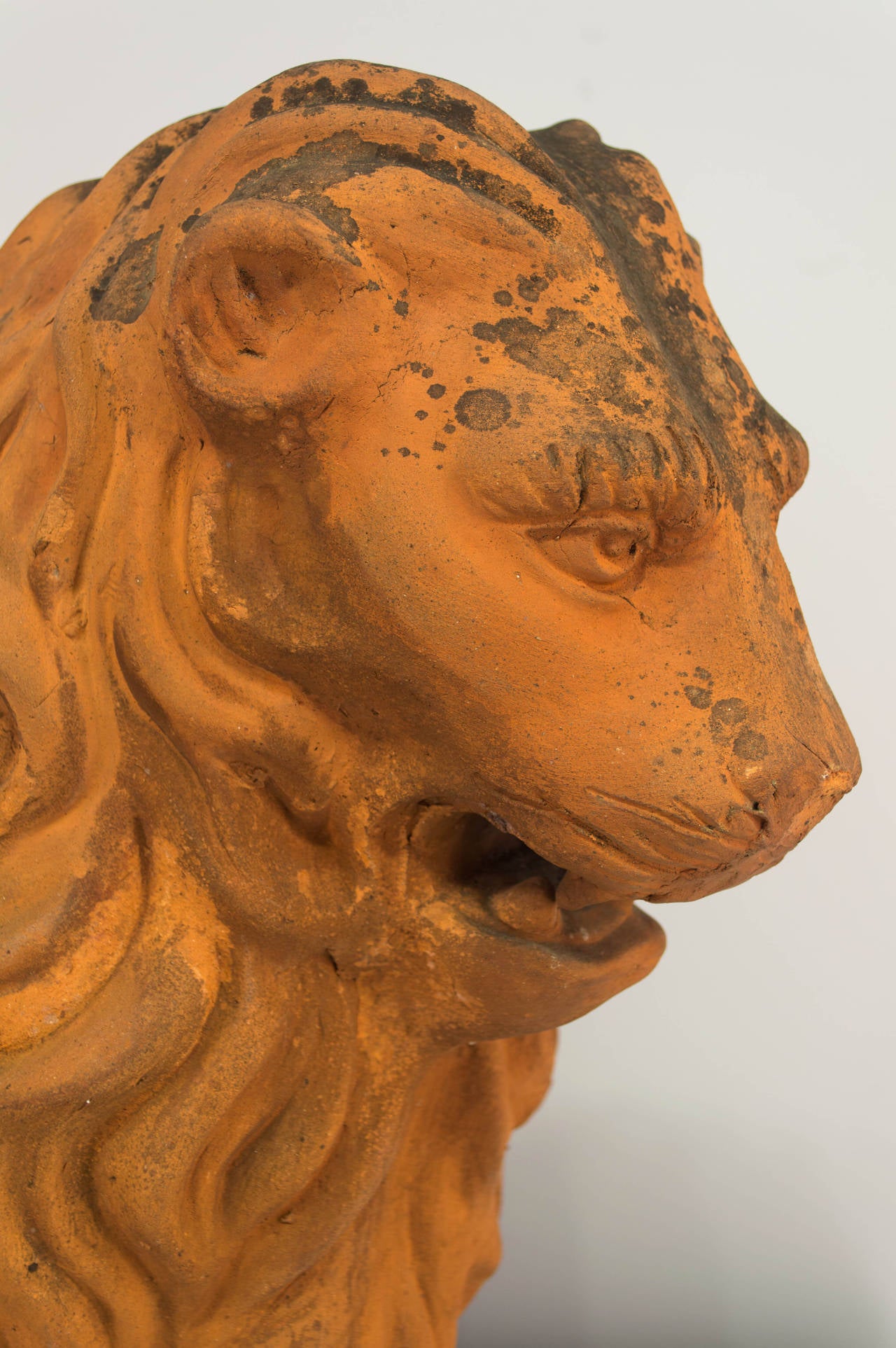 19th Century French Terracotta Lion 6