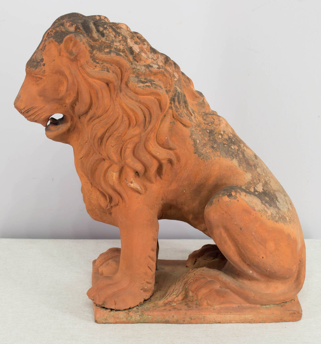 19th Century French Terracotta Lion 5