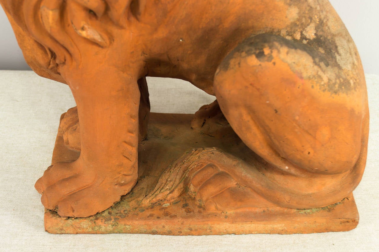 19th Century French Terracotta Lion 7