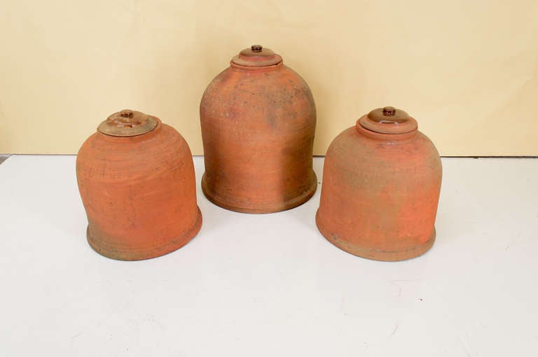 terracotta cloche