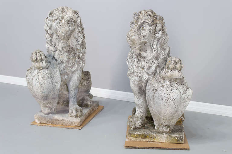A wonderful pair of lions with a nice weathered patina and carved details. 
The size of the bases are approximately 14