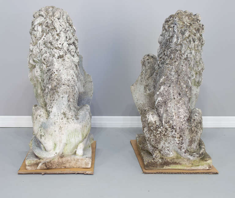 Belgian Pair of Belgium 19th c. Cast Stone Lions Statues