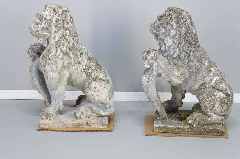 Pair of Belgium 19th c. Cast Stone Lions Statues In Excellent Condition In Winter Park, FL