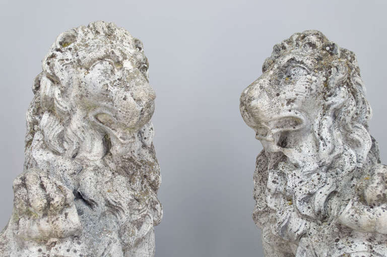 Pair of Belgium 19th c. Cast Stone Lions Statues 2