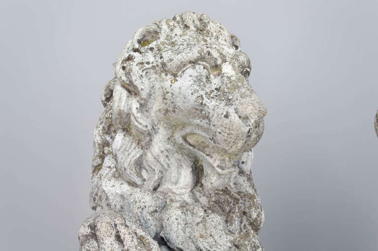 Pair of Belgium 19th c. Cast Stone Lions Statues 3