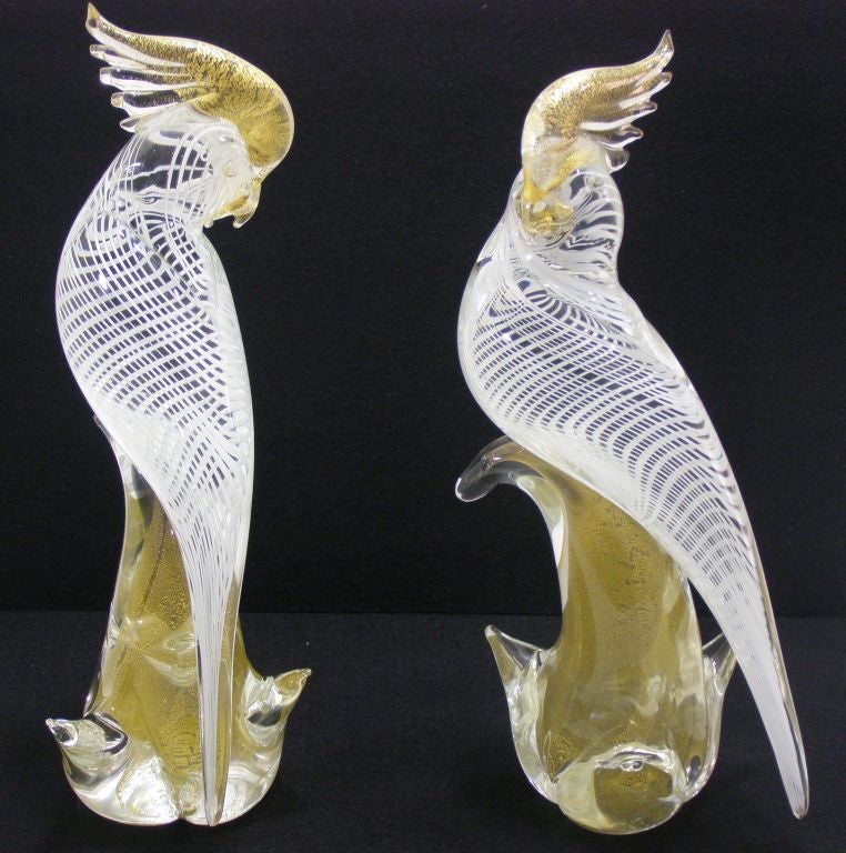 Hand blown Murano glass pair of Cockatoo birds, circa 1980's. These glass birds are composed of clear glass with undulating white stripes throughout the body portion. The perches, or bases of the birds  and the crests are clear glass filled with