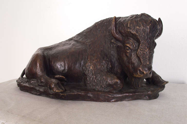 19th Century French bronze sculpture of resting bison with nice patina. Signed G. Demange