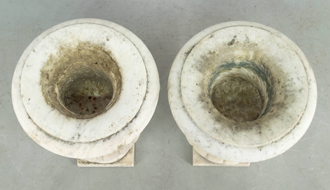 Pair of 19th Century French Marble Urns 4