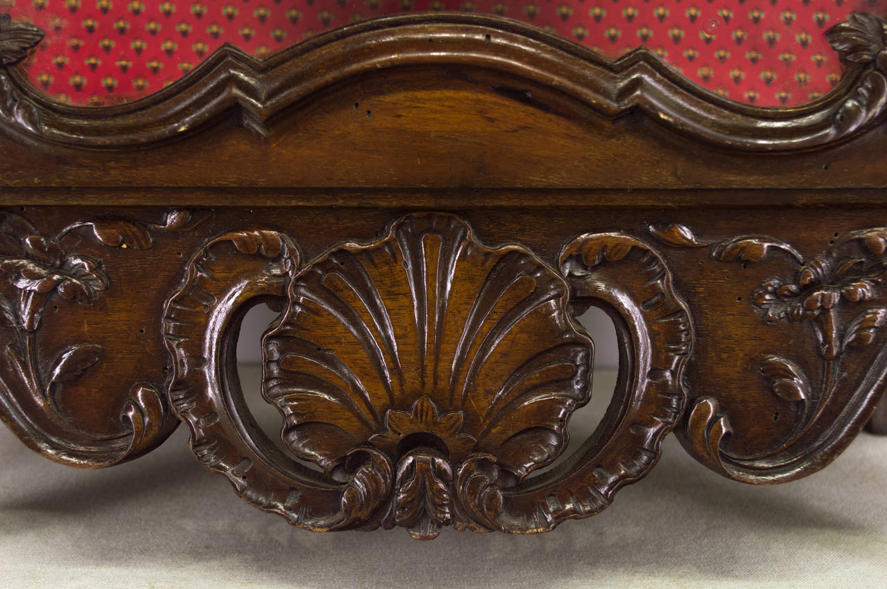 19th Century Louis XV Style Provençal Verrio or Display Cabinet 3