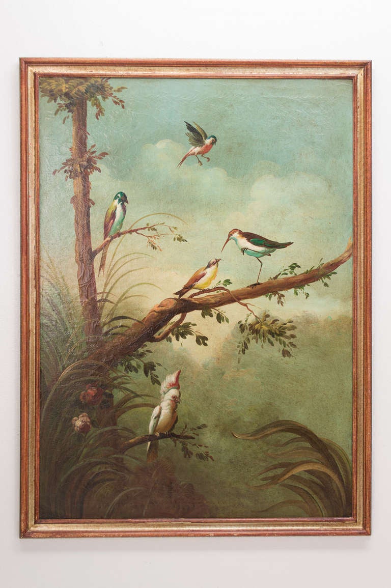 Pair of Large Italian Ornithology Paintings