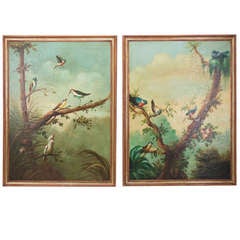 Pair of Large Italian Ornithology Paintings