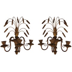 Pair of Italian Gilded Three Candles Sconces