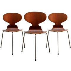 Trio of Arne Jacobsen Ant Chairs 1