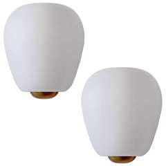 Pair of Shell Wall Lights