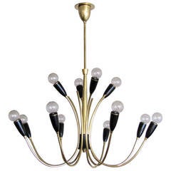 Italian Twelve Light Chandelier