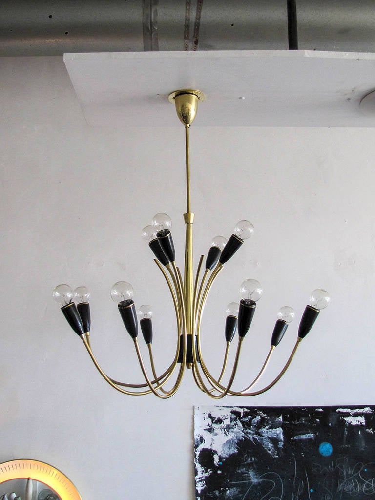 stunning twelve light chandelier in brass with black bakelite cups and brass accents, the chandelier has a total of eight arms, four of which are single bulb arms, the other four have two bulbs per arm