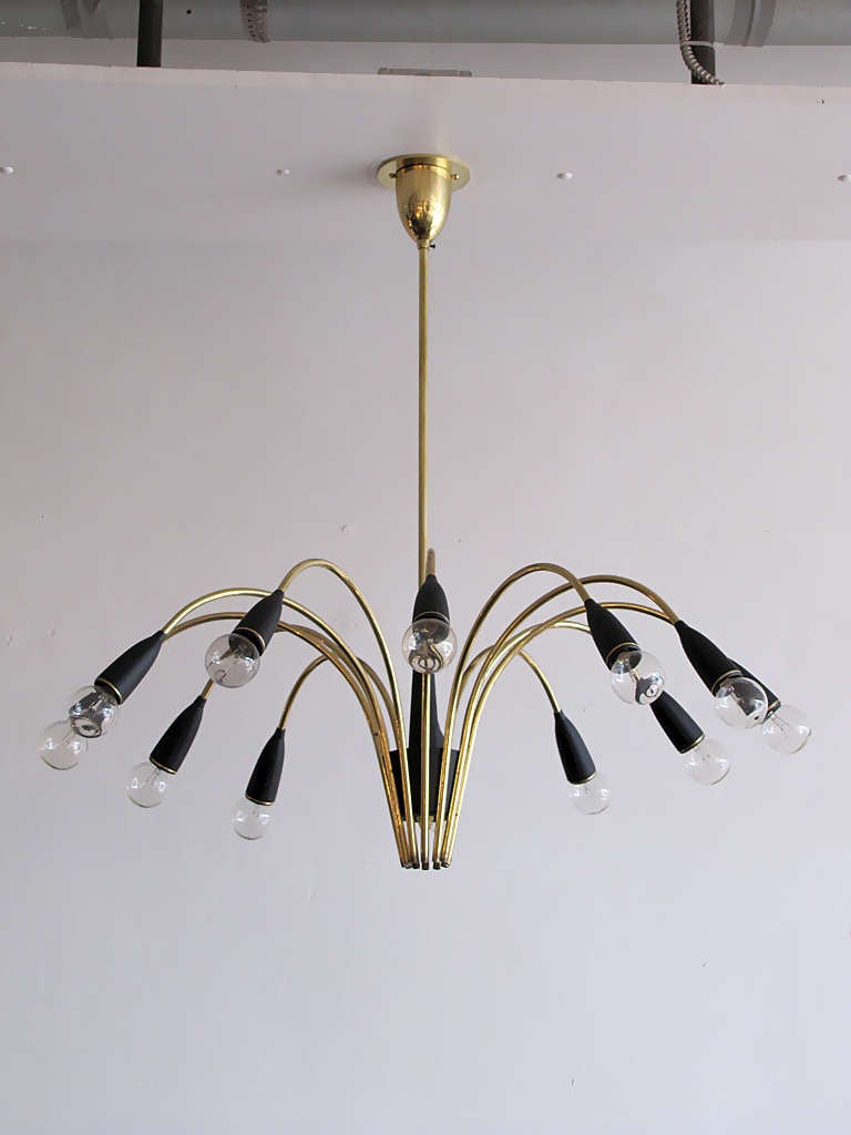 elegant twelve light chandelier in brass with black bakelite cups and brass accents