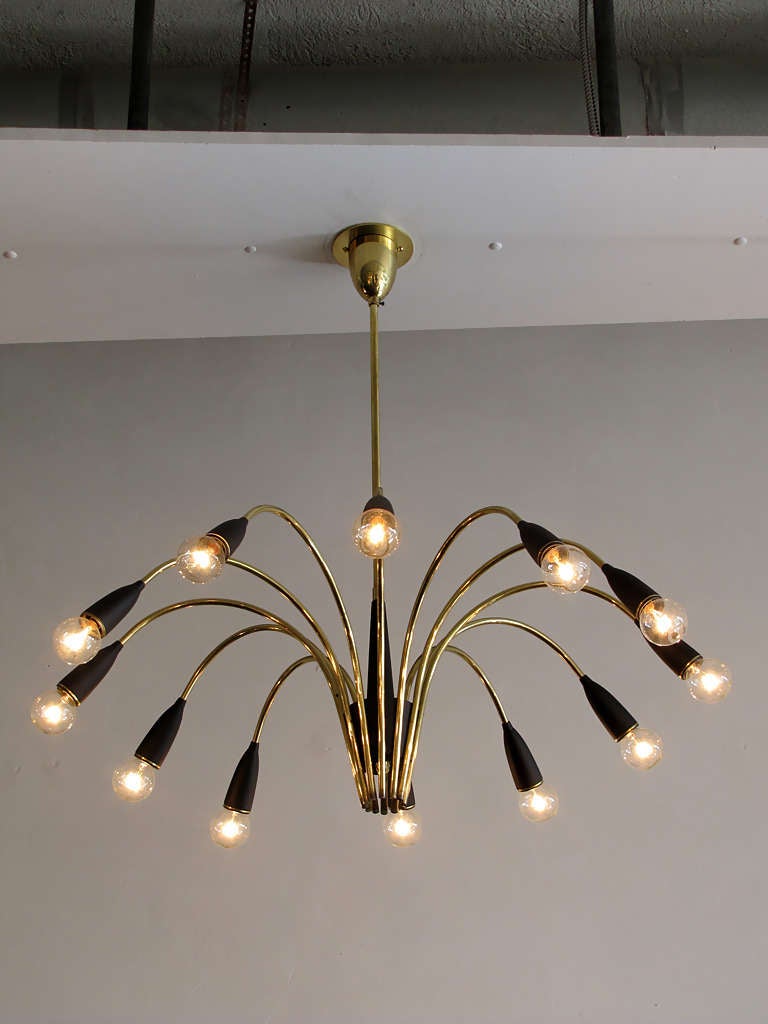 Italian Twelve Arm Chandelier 3