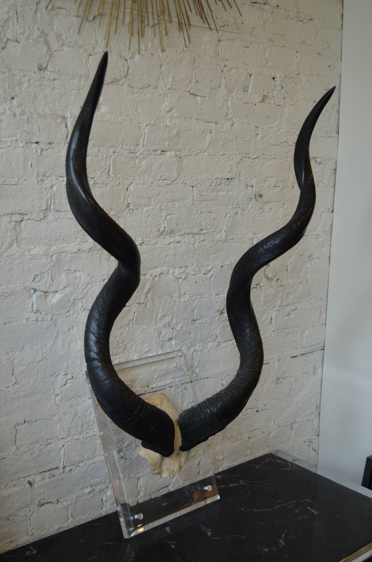 An impressive pair of kudo  horns trophy 
mounted on a thick lucite slab in the manner of
Karl Springer.