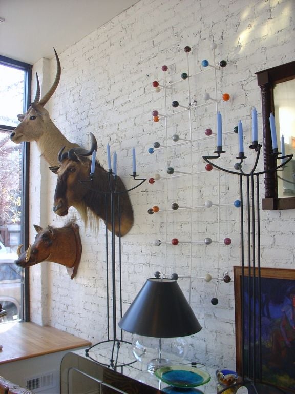 1920's African Wall  Mounted Trophy Taxidermy 6
